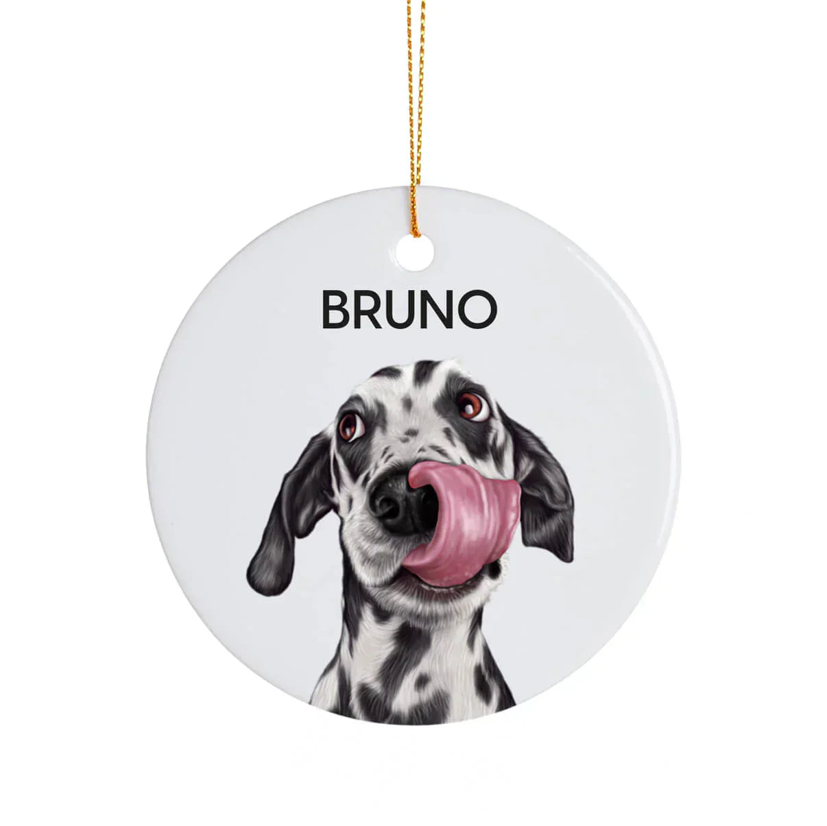 Adorno de navidad personalizado de tu mascota